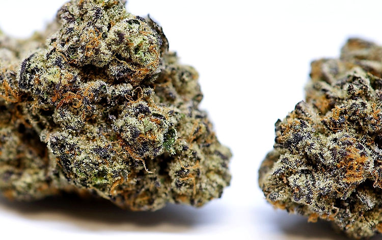 Purple Cream