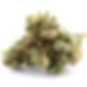 Colonel Crasher from CULTA Urbana (Maryland Recreational)