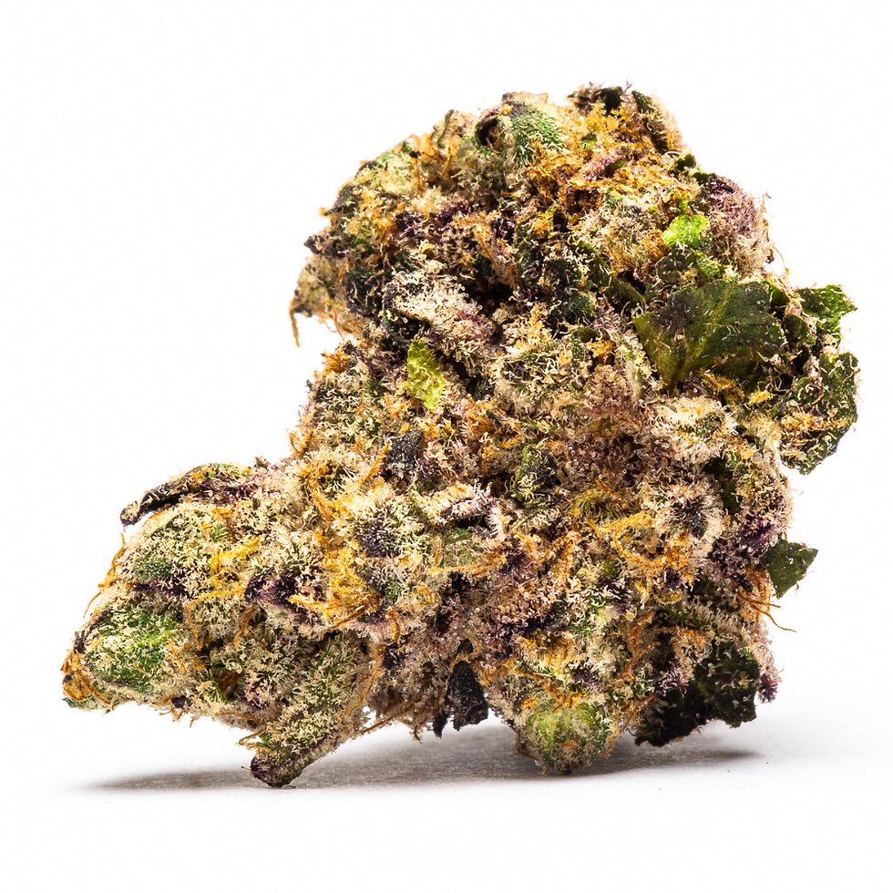 shmu-the-cannaprophet-dc-weed-deliver-review-tickle-burger-strain-bud-2
