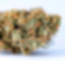 Jack Herer by Alt. Sol. - Takoma Wellness Center (DC Medical)