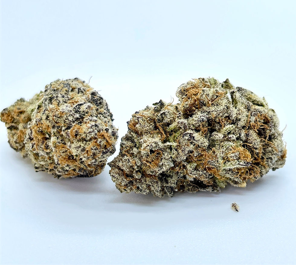 house-of-herbs-dc-weed-review-purple-punch