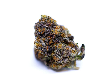 Animal Mint Gelato - The Treehouse