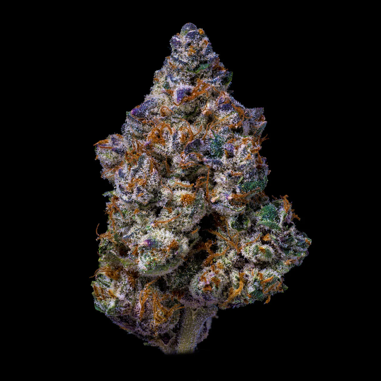 White Truffle THCA Flower