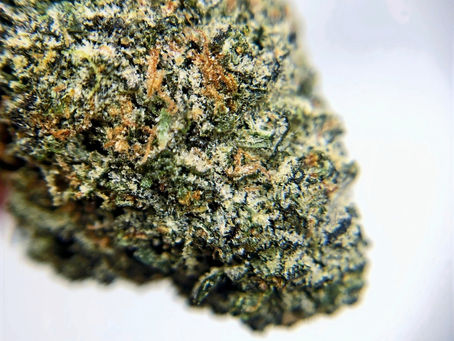 Lemon Cherry Gelato - No Kids Allowed