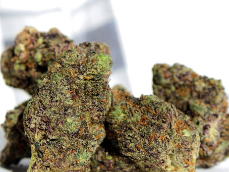 White Truffle - Buddha Buddy