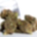 White Truffle - Buddha Buddy