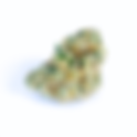 Brownie Scout - RISE, West Palm Beach (Florida Medical)