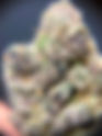 Purple Starburst - Euphoria DC