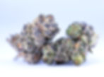 cannabear-dc-weed-review-blueberry-biscotti-side-view-2
