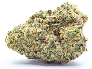 Animal Burnie by Fade Co. - Story Dispensary (Hyattsville, MD)