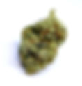 Motordrip by Magnolia Pharms - MASC