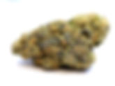 Biscotti - Exotic Organics