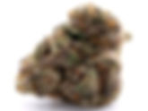 P85 - Buddha Buddy DC
