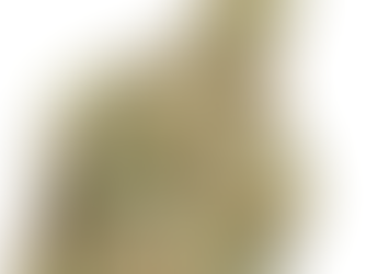 Cherry Punch - MÜV Dispensary, Tampa (Florida Medical)