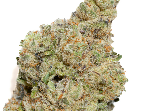 Cherry Punch - MÜV Dispensary, Tampa (Florida Medical)