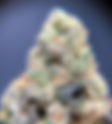 Wedding Pie - Dreamy DC