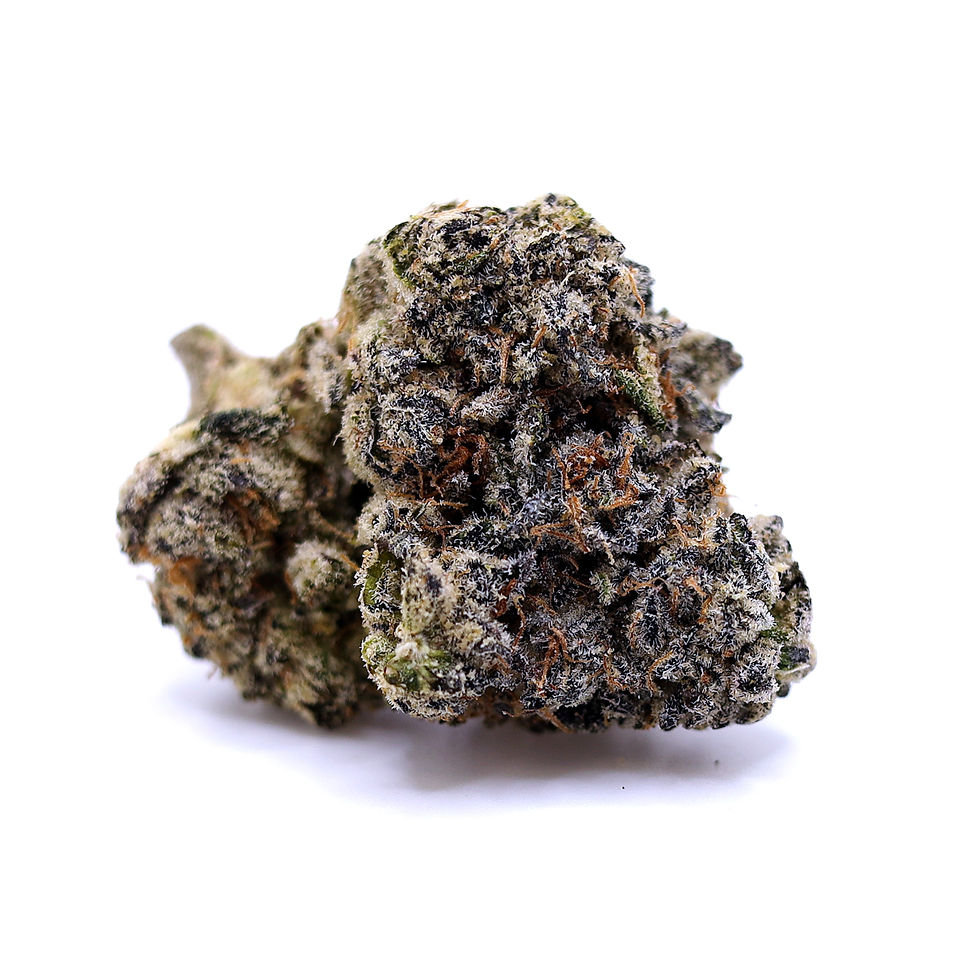ghouse-dc-weed-review-giraffe-pussy-x-cherry-biscotti-strain-bud-1