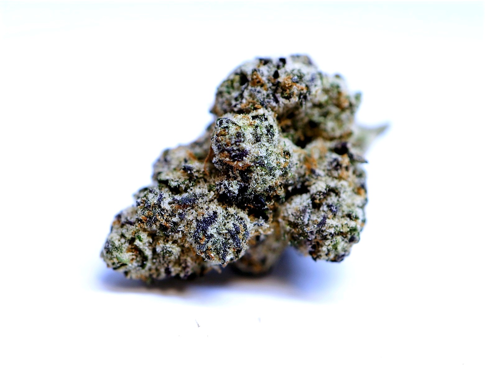 Purple Octane harvested flower, as labeled by the cited photo source
