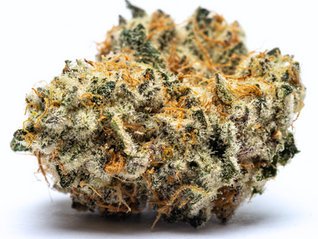 Jokerz by Alt Sol - Green Theory DC