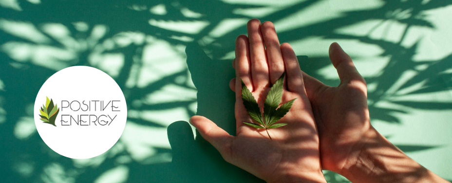 Positive Energy in Ocean City infuses uplifting vibes with holistic cannabis selections.