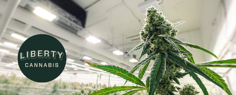 Liberty Baltimore delivers bold urban cannabis with a focus on variety and city appeal.