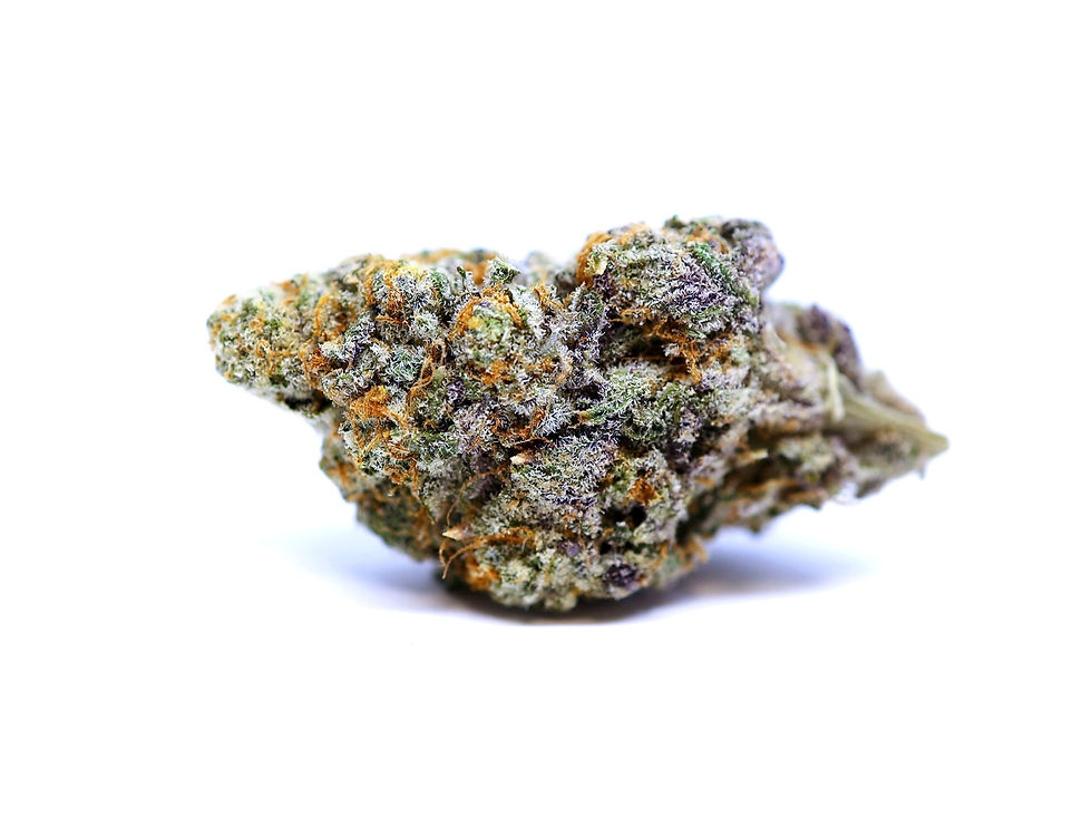 the-gift-givers-dc-weed-review-purple-portland-kush-cake-bud-2