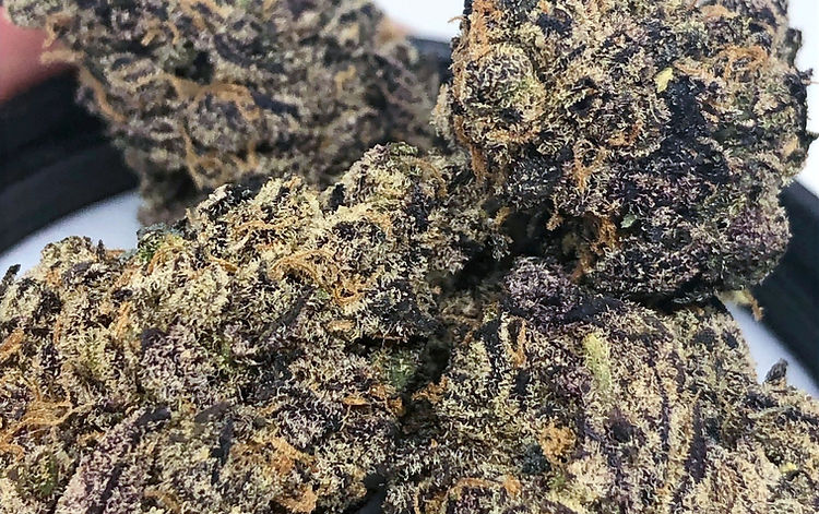 Grape Cake