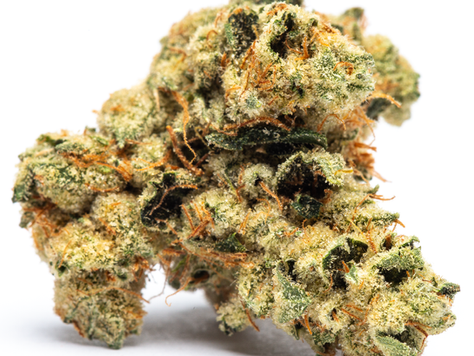 Motorbreath by Alt Sol - Takoma Wellness Center