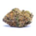 taste-budz-dc-weed-review-gelato-45-strain-bud-4
