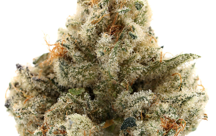 Black Ice