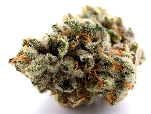 As gas prices continue to climb, the ideal spot for premium fuel is actually at DC's medical marijuana dispensary, Higher Ground. Sourced directly from the ground by local cannabis growers Alt Sol, this 91 Octane is the only fuel worth using in today's economy...