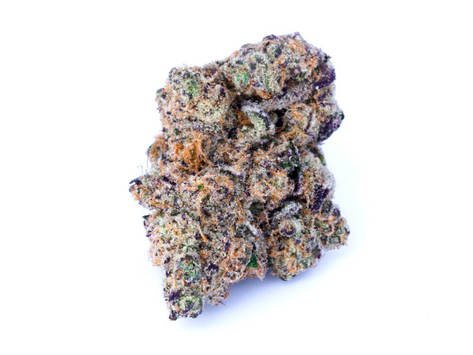 JOMO - House of Platinum, Clearwater (Florida Medical)