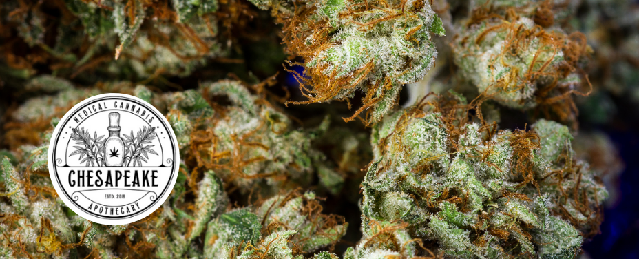 Chesapeake Apothecary White Plains provides a classic apothecary with curated cannabis.