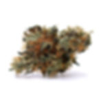 takoma-wellness-center-dc-weed-review-durban-skunk-by-alt-sol-bud-4