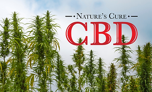 VA Toker's Guide Vendor Square Displays (1).png