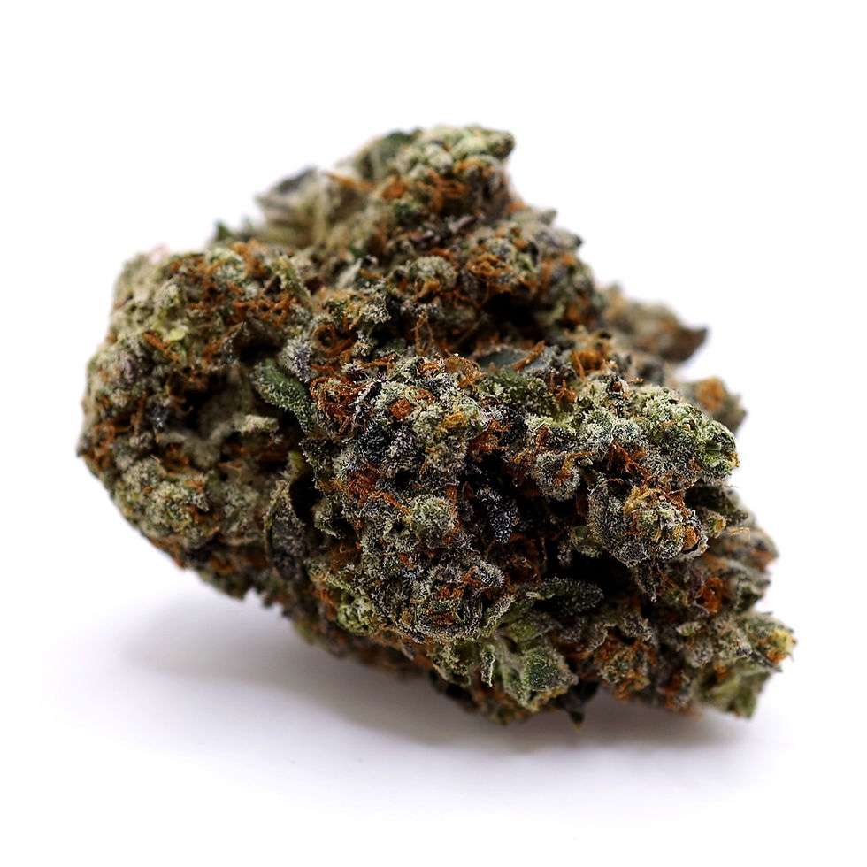 elevated-lounge-dc-weed-review-oreo-blizzard-strain-bud-3