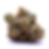 hyfe-dc-weed-review-oz-kush-strain-bud-1