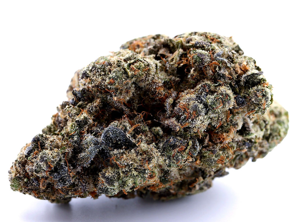 hyfe-dc-weed-review-blue-lobster-strain-bud-1