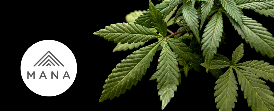 Mana Supply Middle River delivers a suburban cannabis hub with community-driven products.