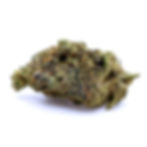 no-kids-allowed-dc-marijuana-review-oregon-mac-strain-bud-1