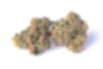 culta-maryland-medical-cannabis-review-hot-mint-sundae-strain-buds-1