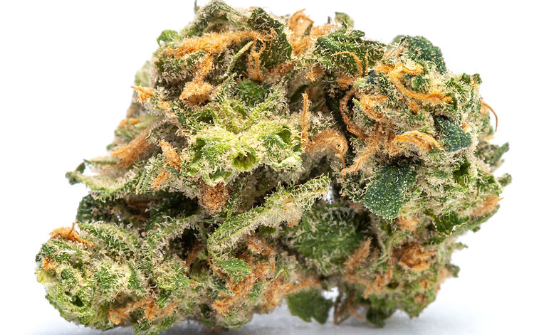 Blue Dream
