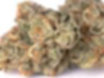 culta-maryland-medical-cannabis-review-hot-mint-sundae-strain-bud-close-up