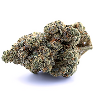 White Widow