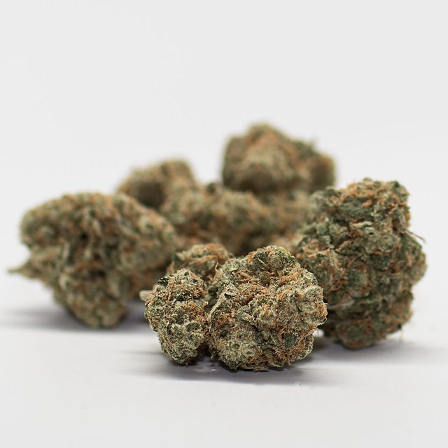 Dutch Treat - Green Kings