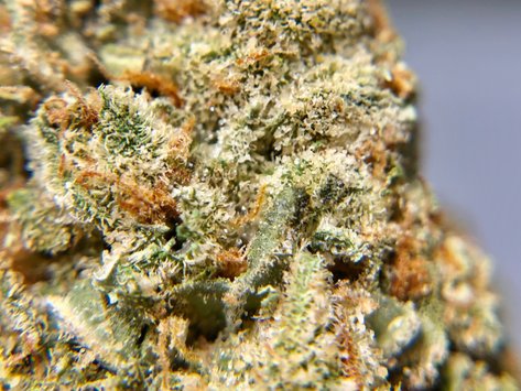 Super Goji Haze - Top Secret DC