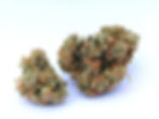 liberty-cannabis-flower-review-strane-papayas-&-bananas-1liberty-cannabis-flower-review-strane-papayas-&-bananas-3