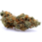 takoma-wellness-center-dc-weed-review-durban-skunk-by-alt-sol-bud-3