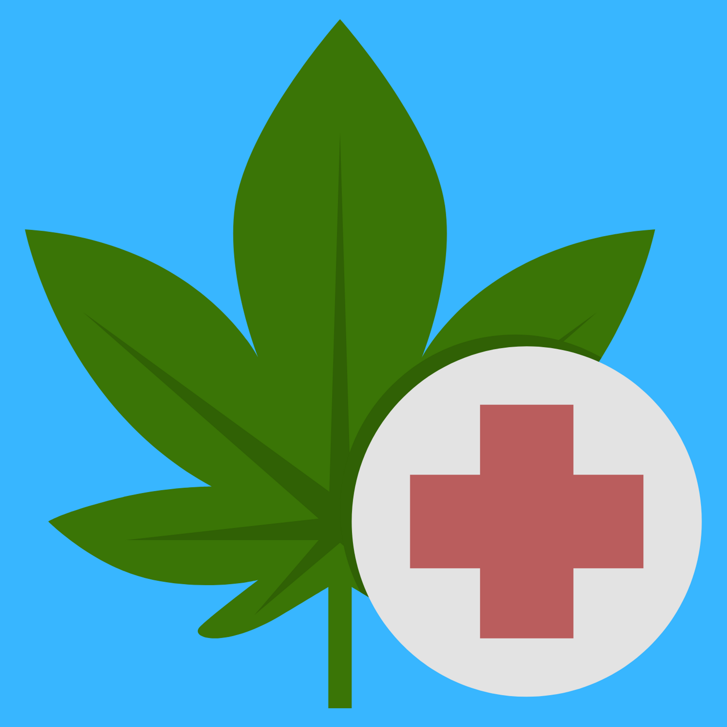Medical Dispensaries Toker's Guide