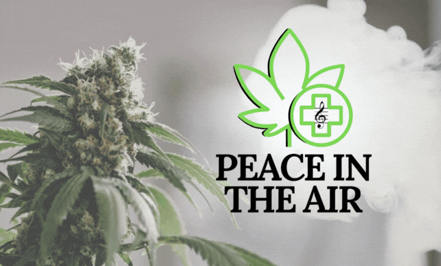 Toker's Guide Vendor Square Displays (4).gif